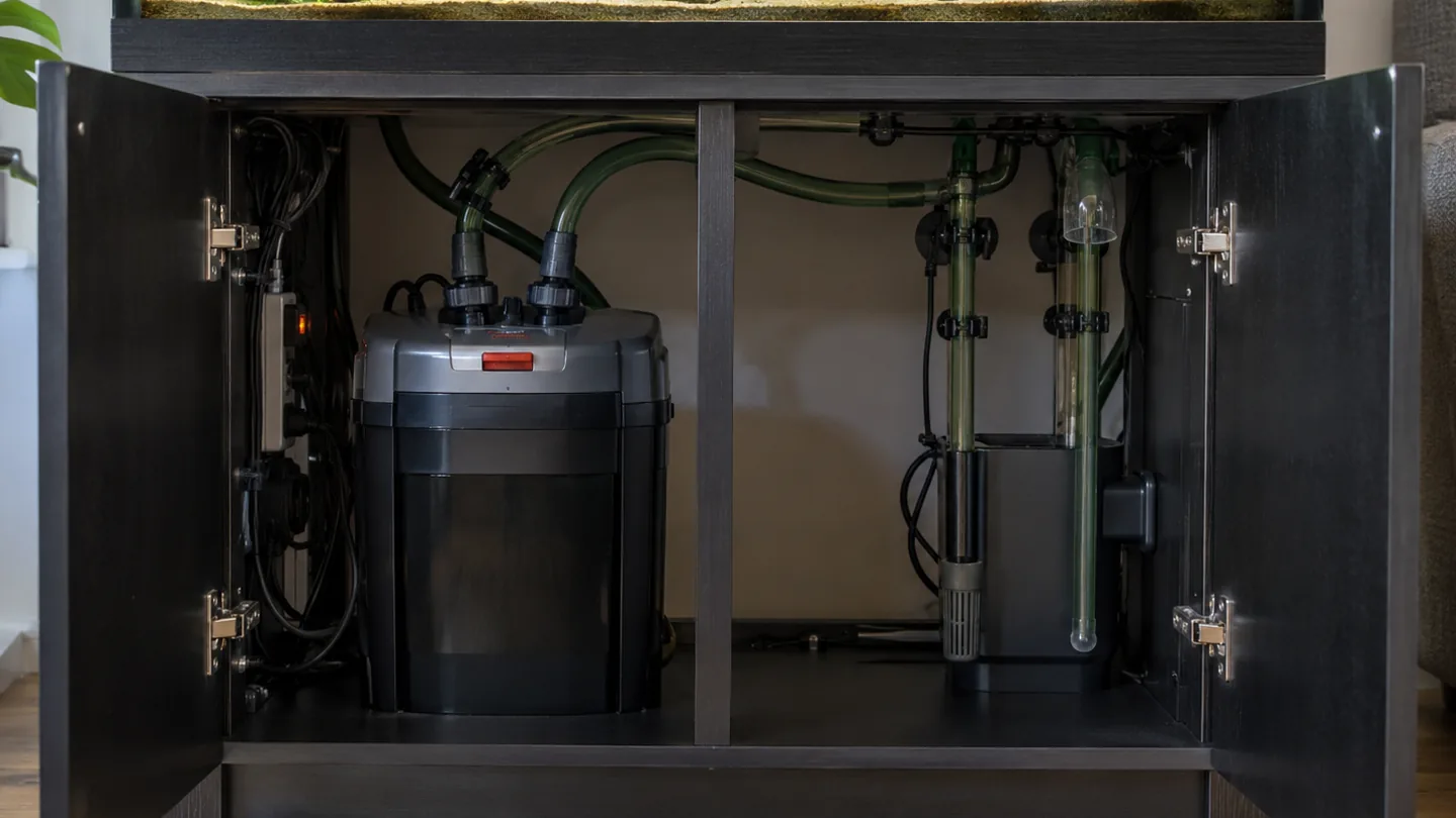 Freshwater aquarium care scene